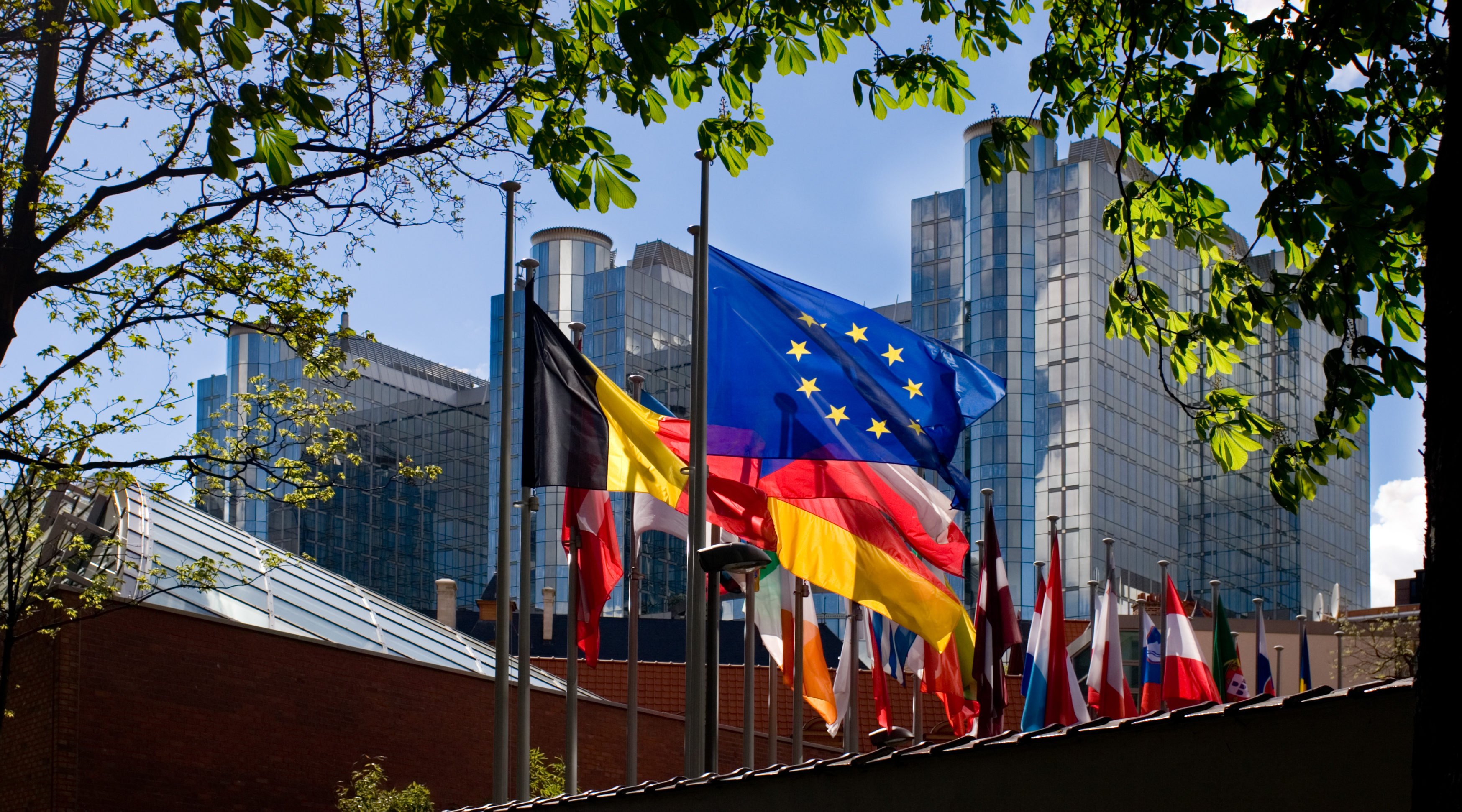 Why European CEOs should prepare for the political spotlight