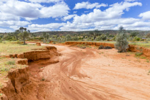 Dry River