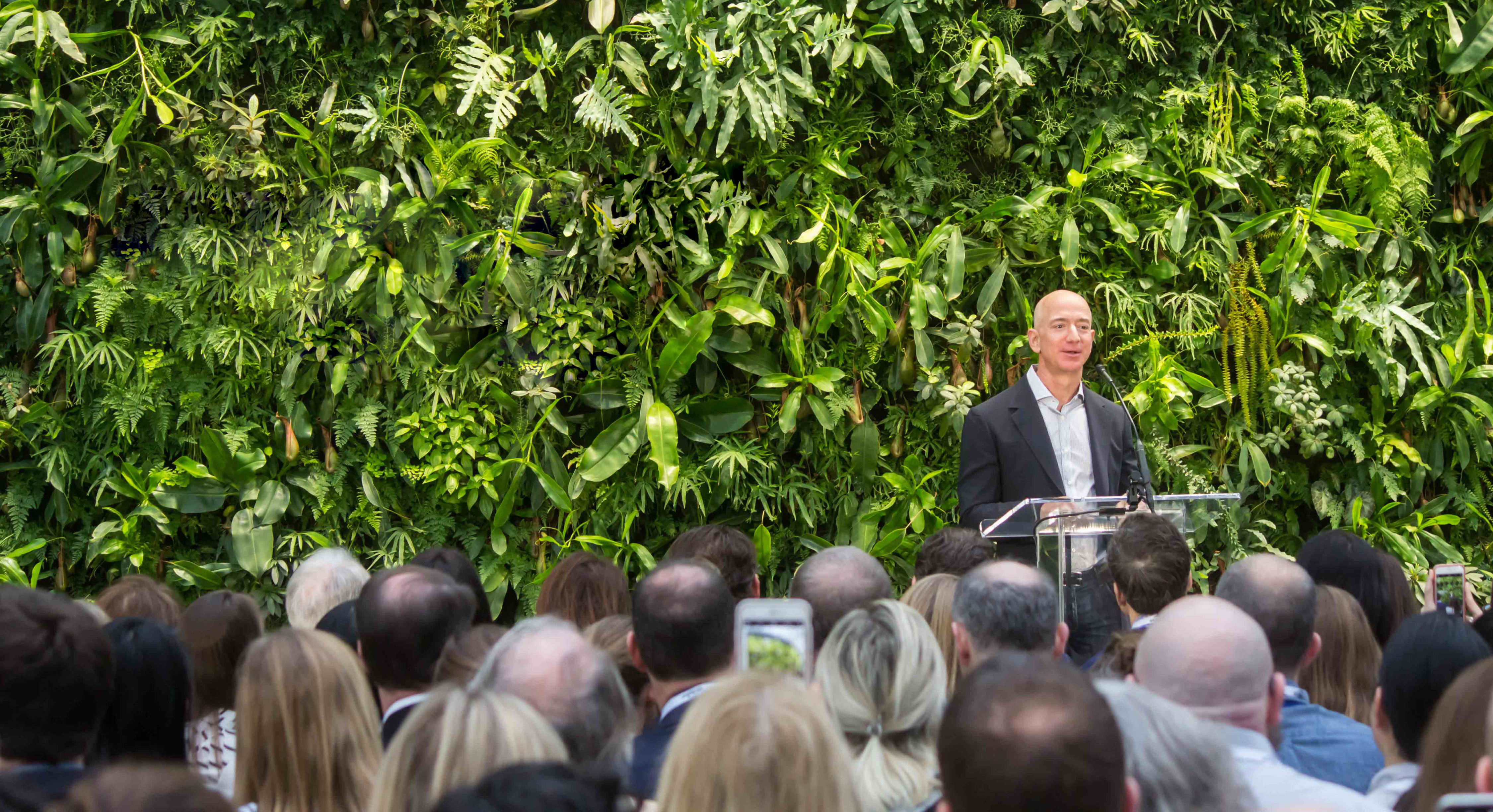 Can Rockefeller, Bezos and IKEA turn the developing world green?