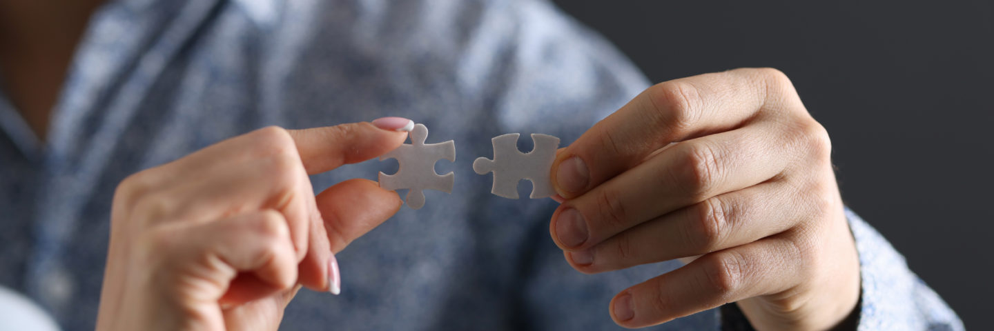 image of a puzzle symbolising union