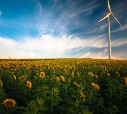 What executives can learn from Schneider Electric’s sustainability drive