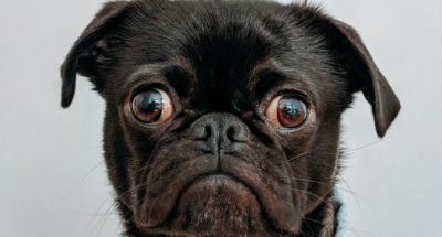 charlesdeluvio-K4mSJ7kc0As-unsplash