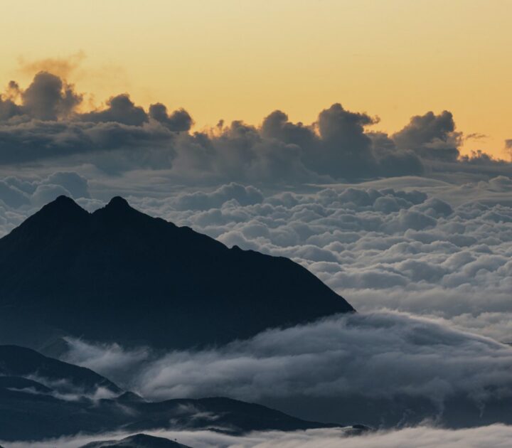 Mission critical: How the American Cancer Society successfully migrated to the cloud