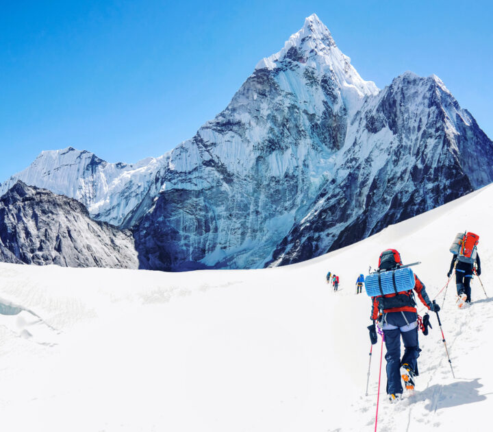 Facing uncertainty with resilience: Leadership lessons from Mount Everest and beyond