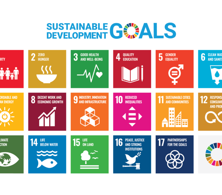 Halfway to 2030: Are our Sustainable Development Goals still fit for purpose?
