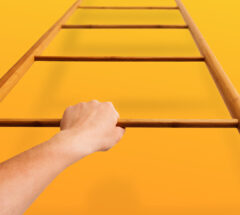 Scaling up organization operating system stairs
