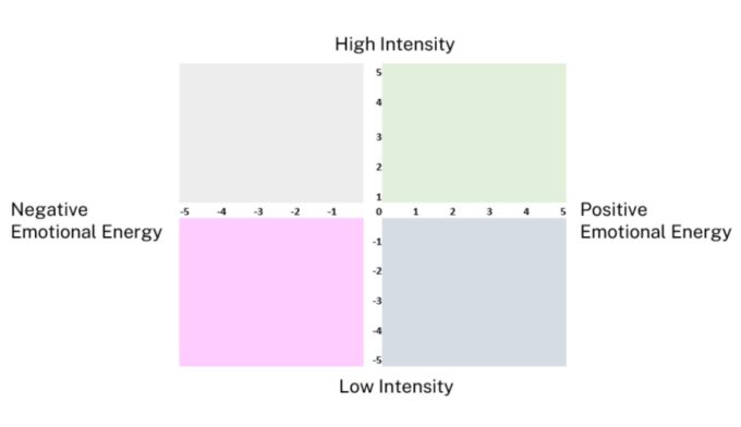 Graph Brain Circuit