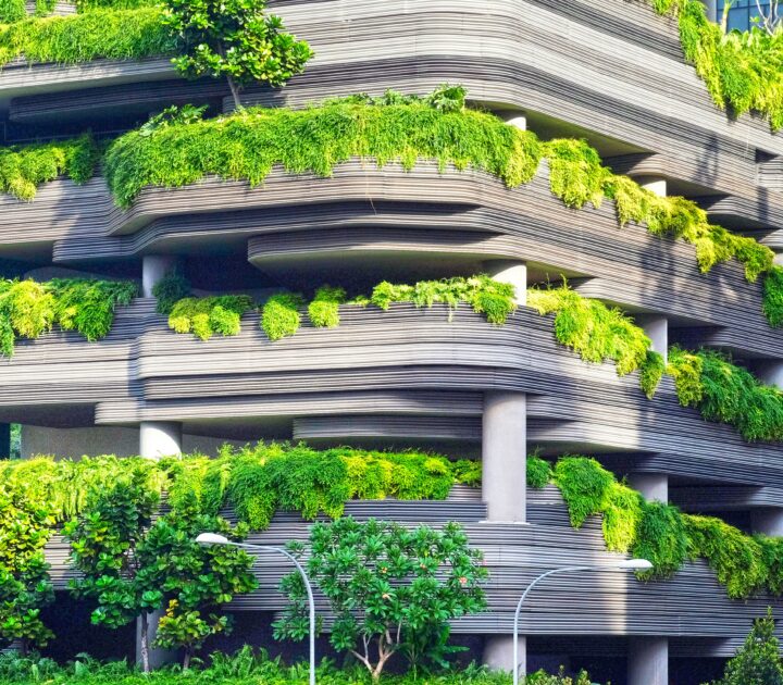 Closing the climate gap: The rise of green finance 