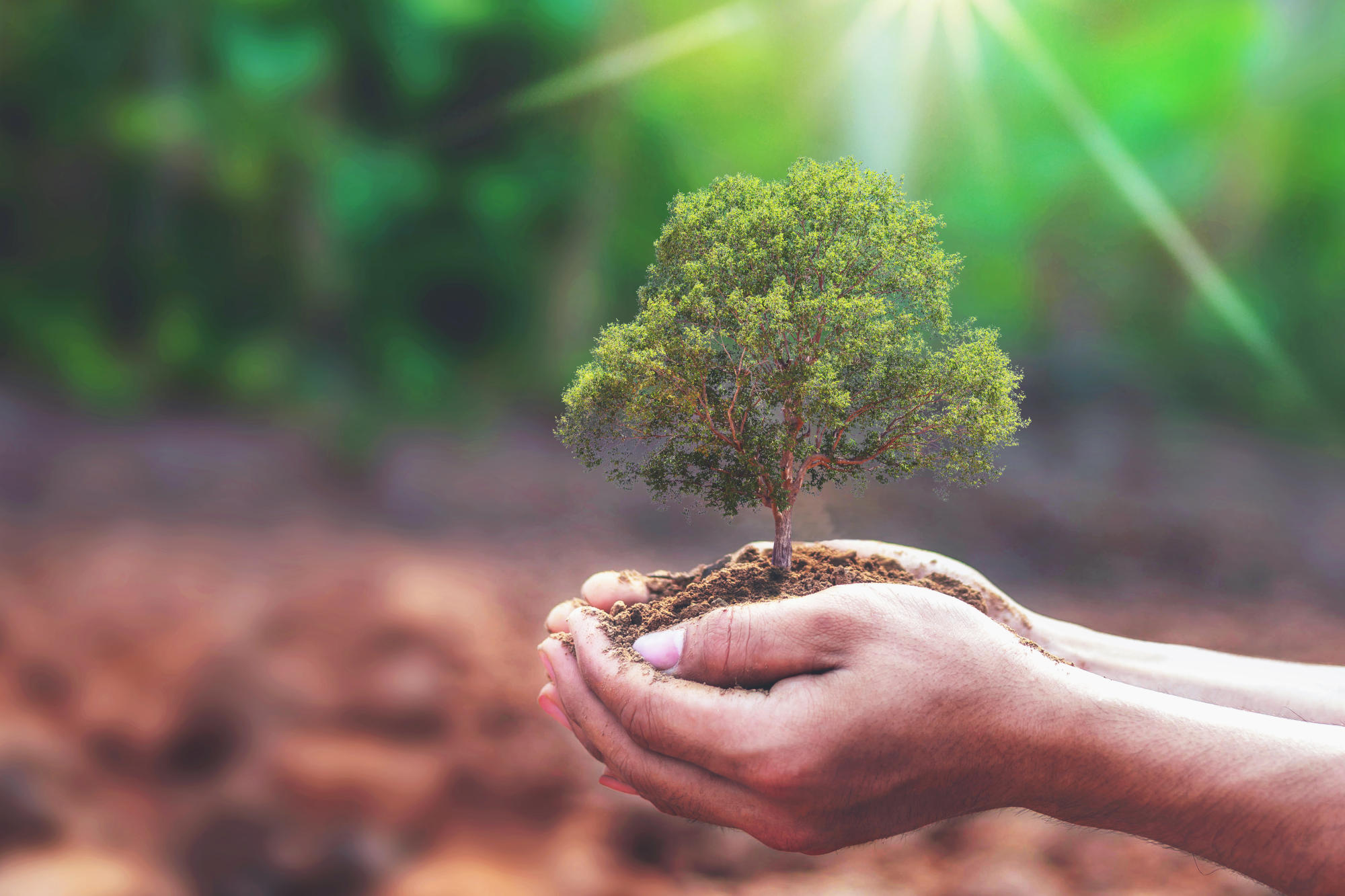 Biodiversity Matters - Business Strategy - I by IMD