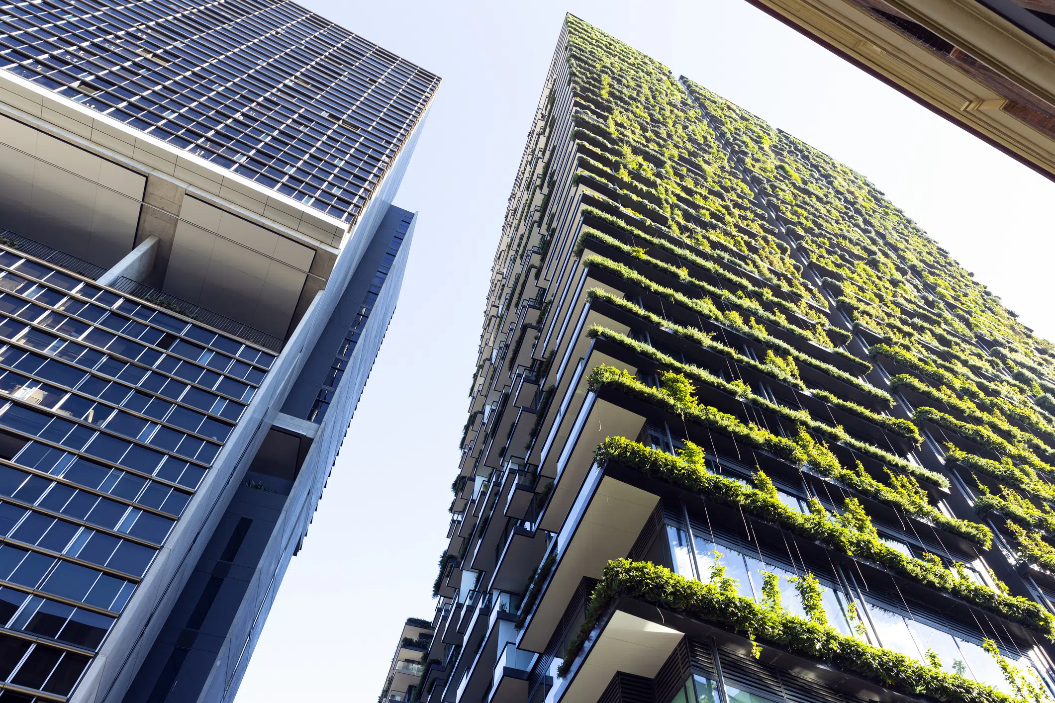 Why 2021 is the year to focus on sustainability