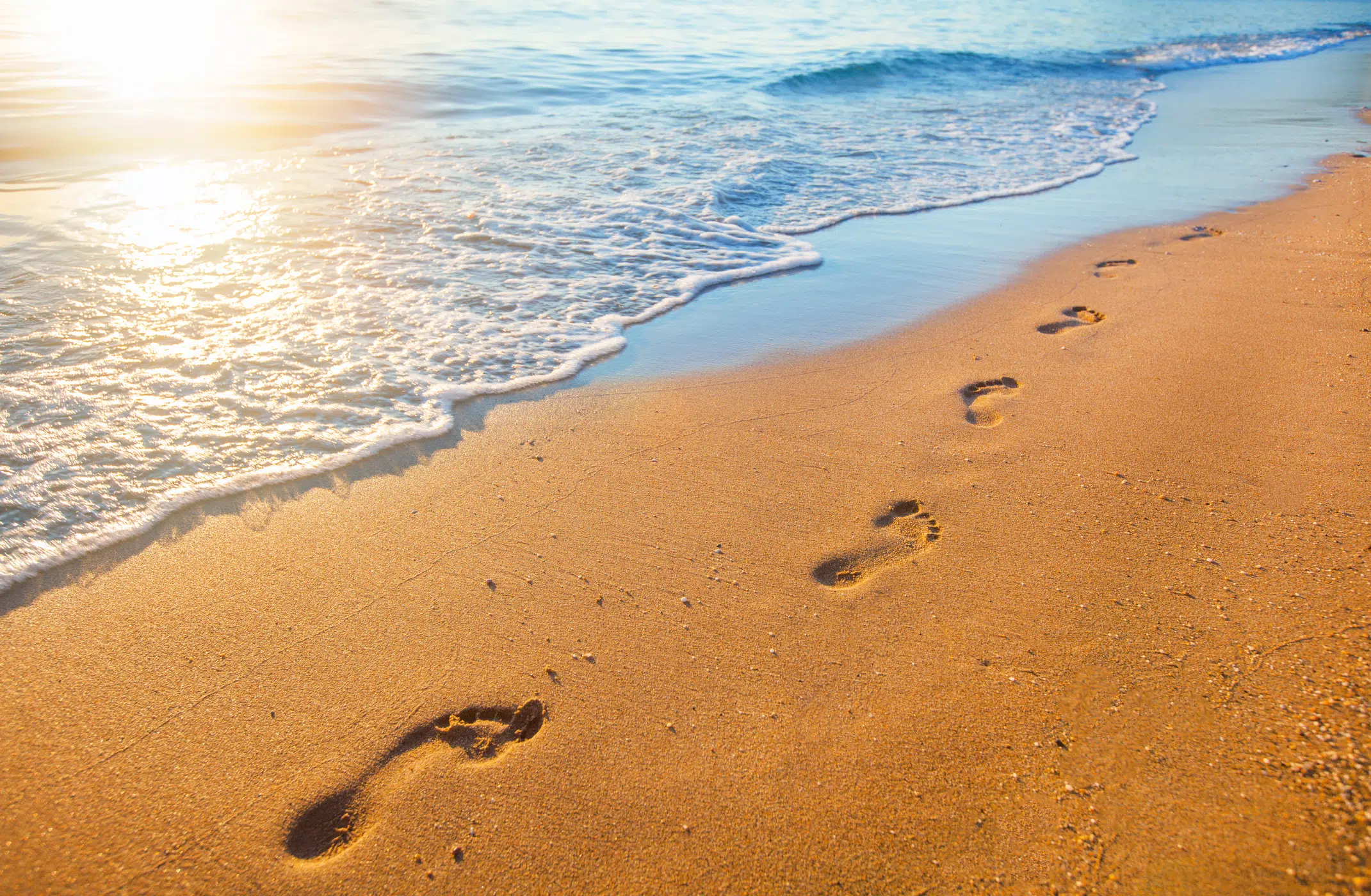 What should your sustainability strategy look like?