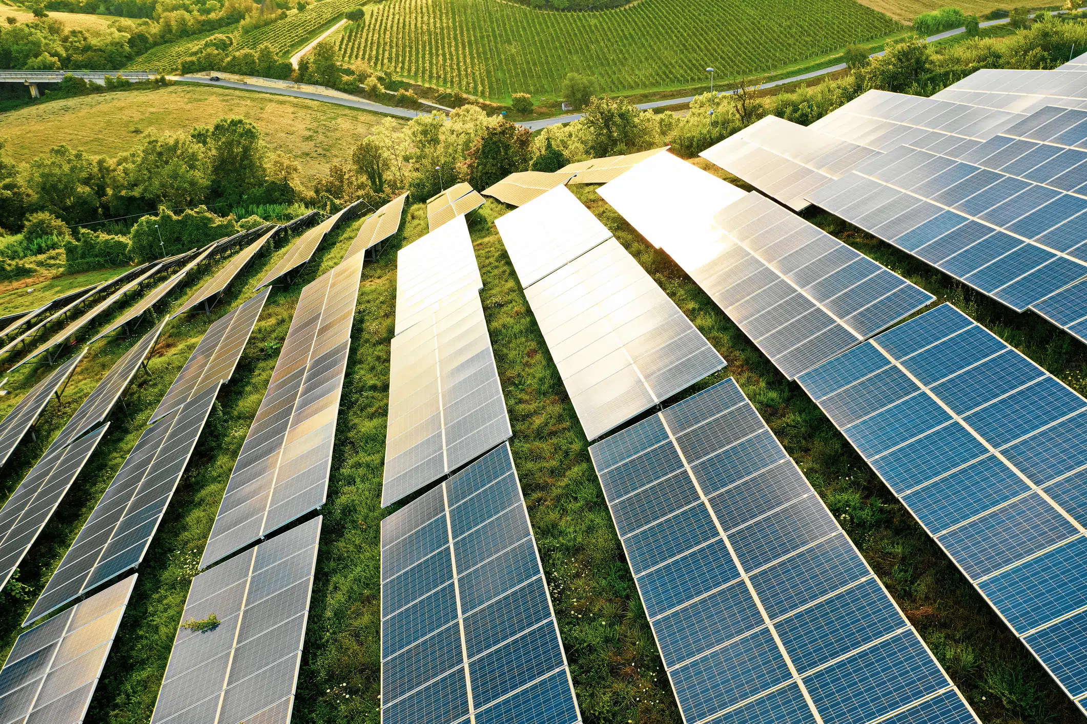 Sustainability: Moving from theory to practice - IbyIMD