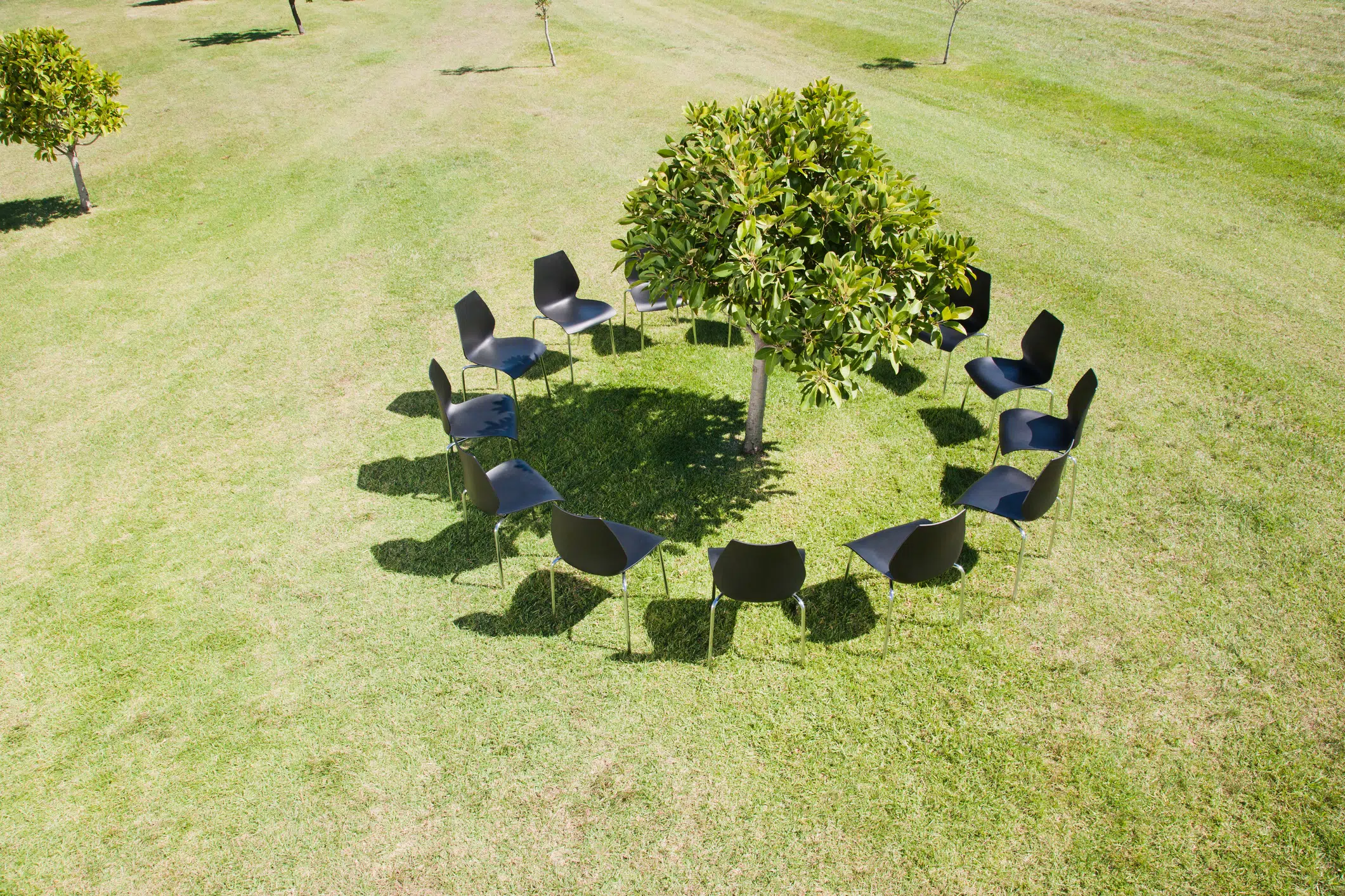 Accelerating the sustainability transition