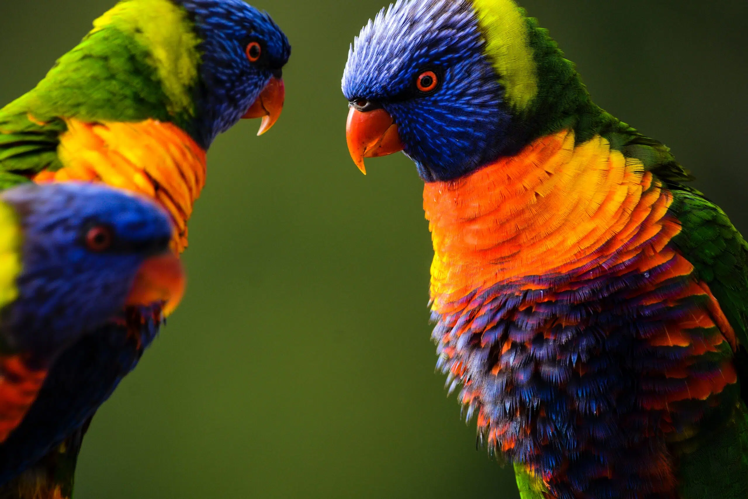 Tools you can use to improve the dialogue on your teams