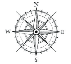 navigate through a crisis