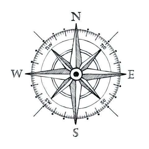 navigate through a crisis