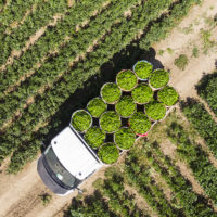Sustainability strategy