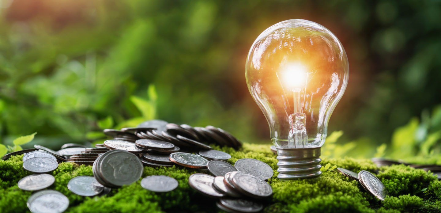 money stack with light bulb on green grass and sunshine in nature concept saving money and energy
