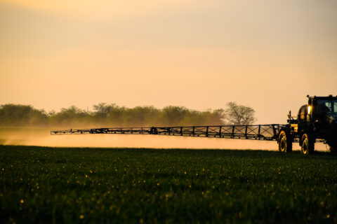 nitrogen and phosphorus