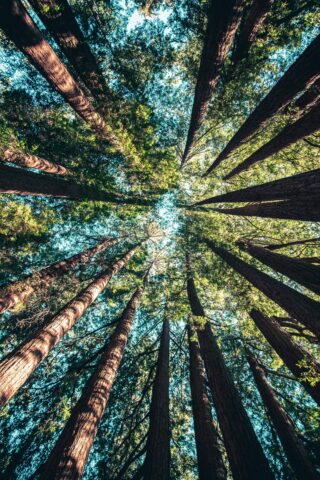 Impact investment