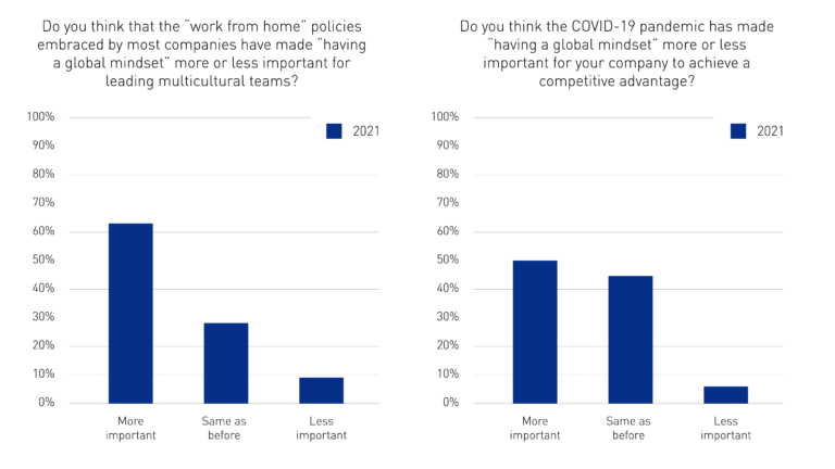 GlobalMindsetSurveyArticle_Graph18
