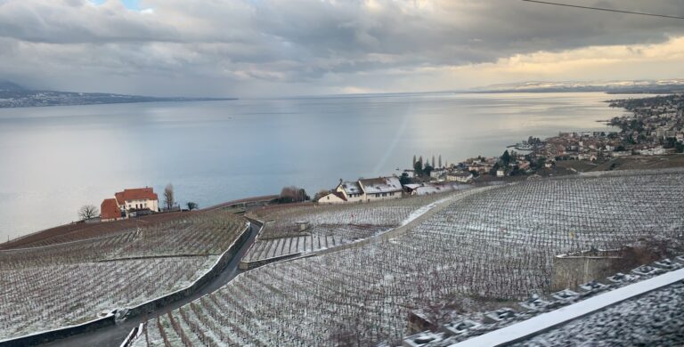 Laveaux winter