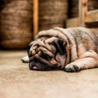 Is your organization suffering from inertia?