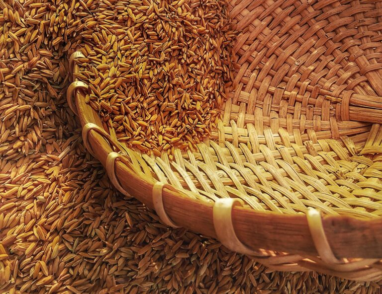 wheat