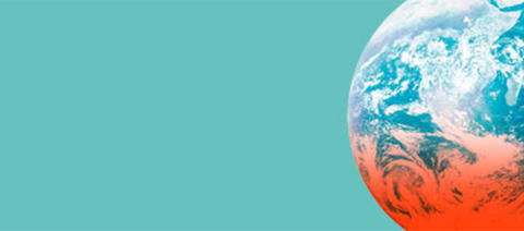 BSCL - IMD Business School