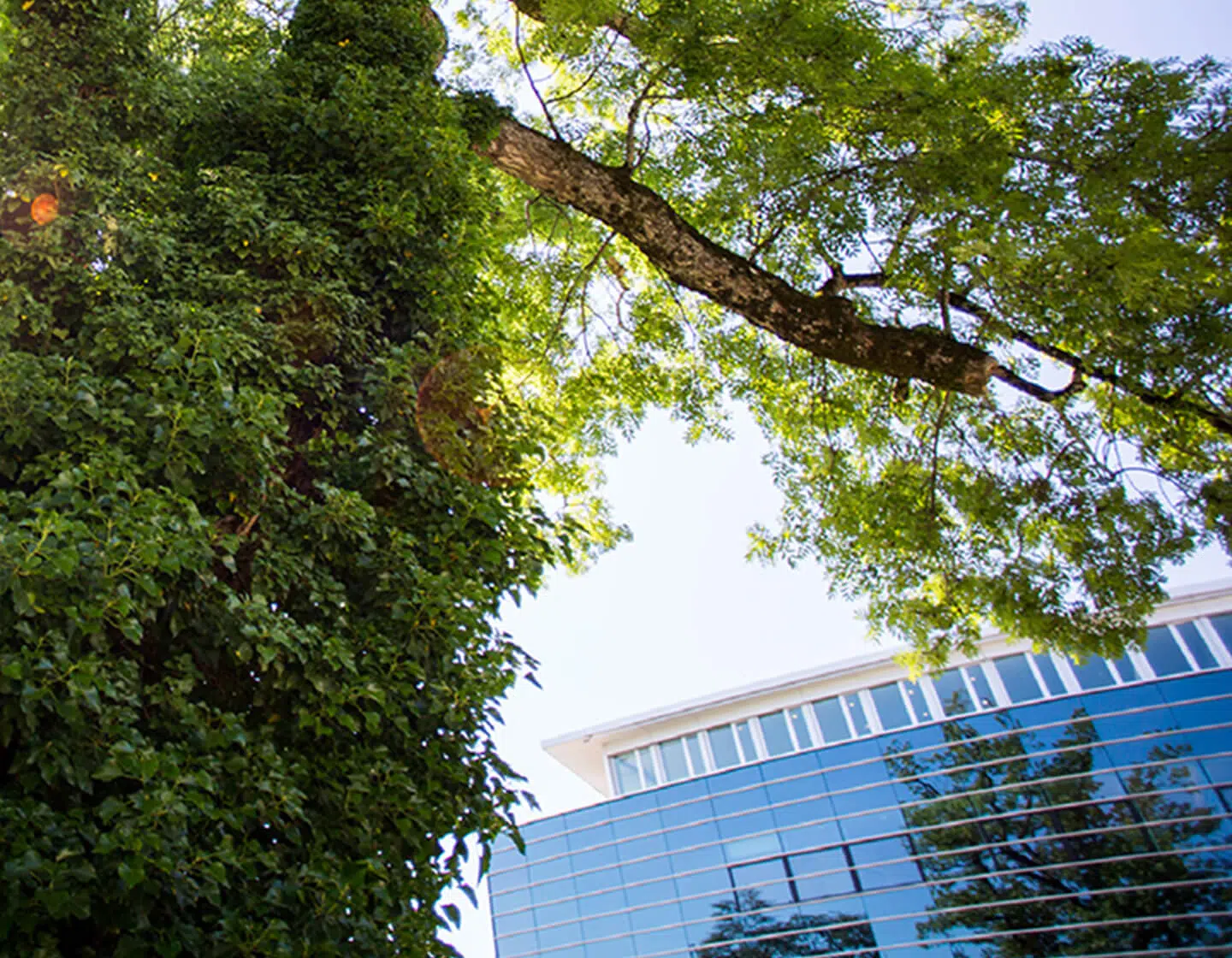 - IMD Business School