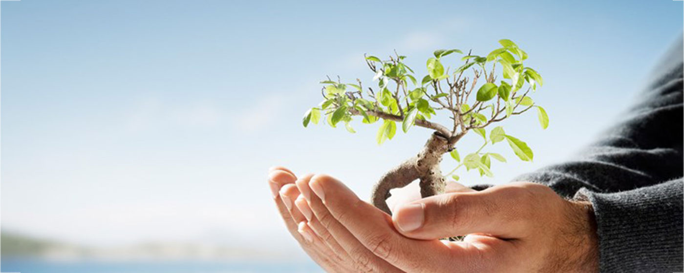 Article-Sustainability-is-actually-good-news-JDE-1400x560 - IMD Business School - IMD Business School