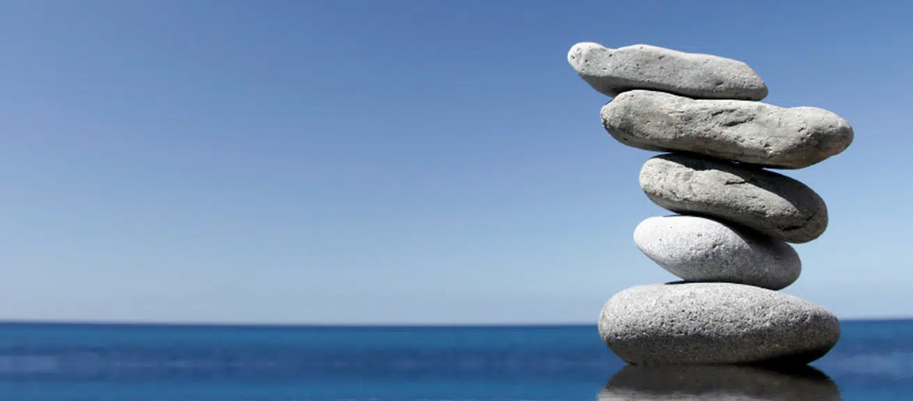 The value of the long-term view: Balancing the shareholders and stakeholders’ priorities