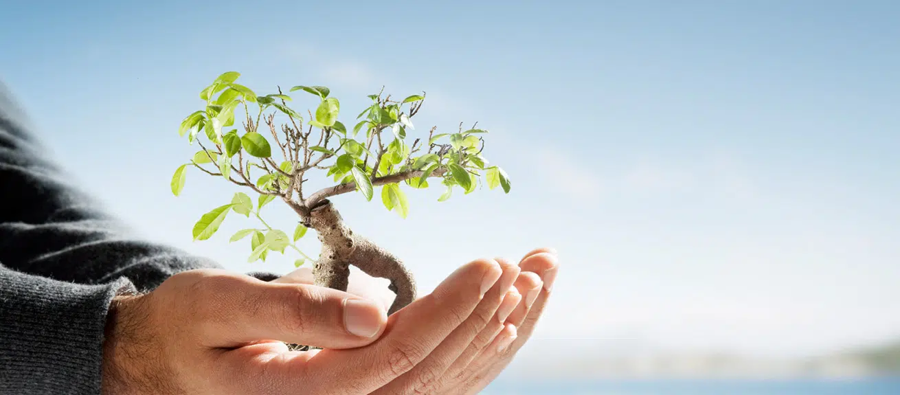 Sustainability is actually good news: Three ways to change our mindset