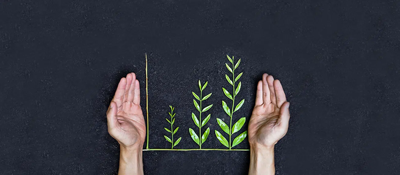 What's stopping your sustainability schemes?: You are