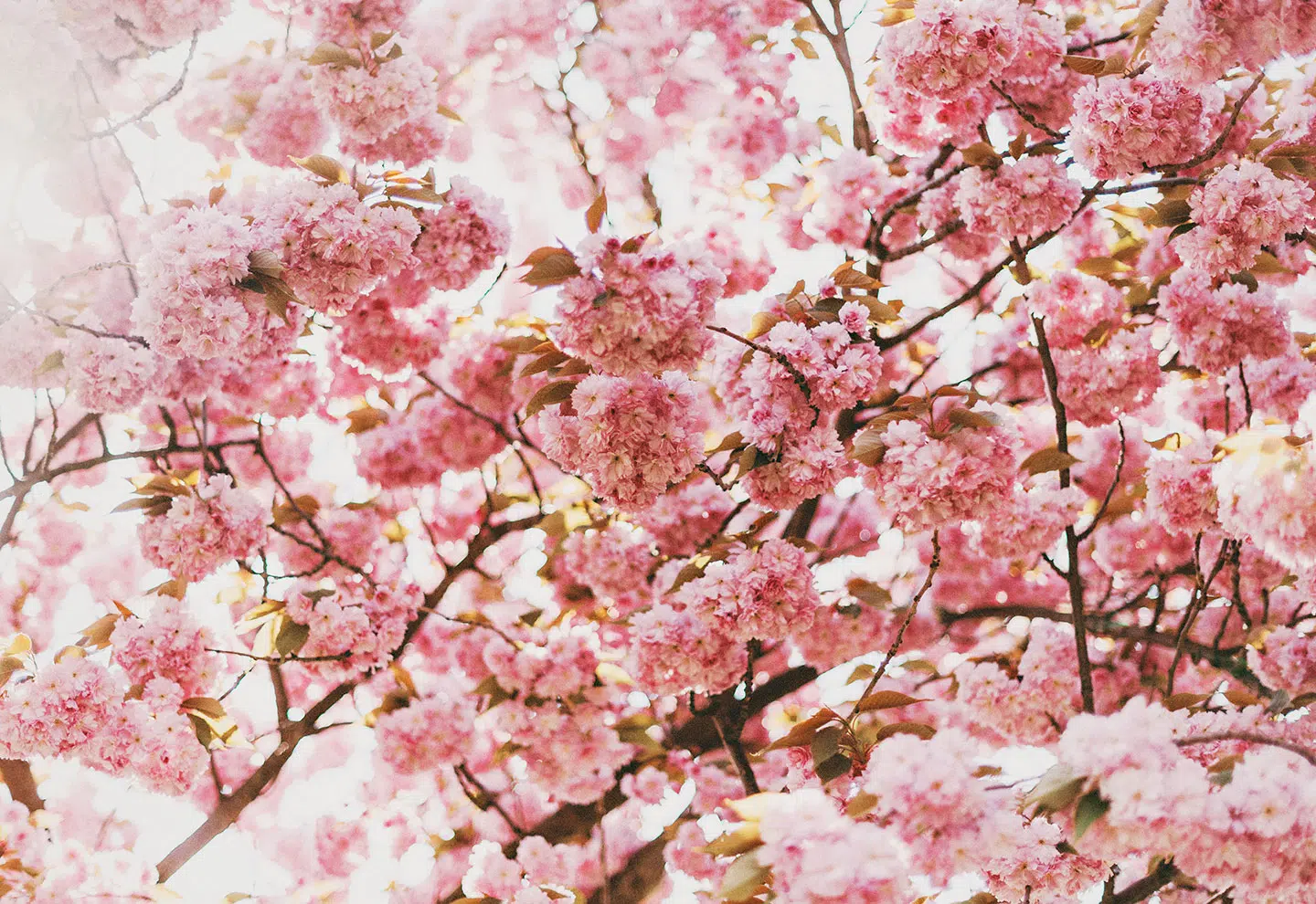 What is it that makes countries happier? - IMD Business School