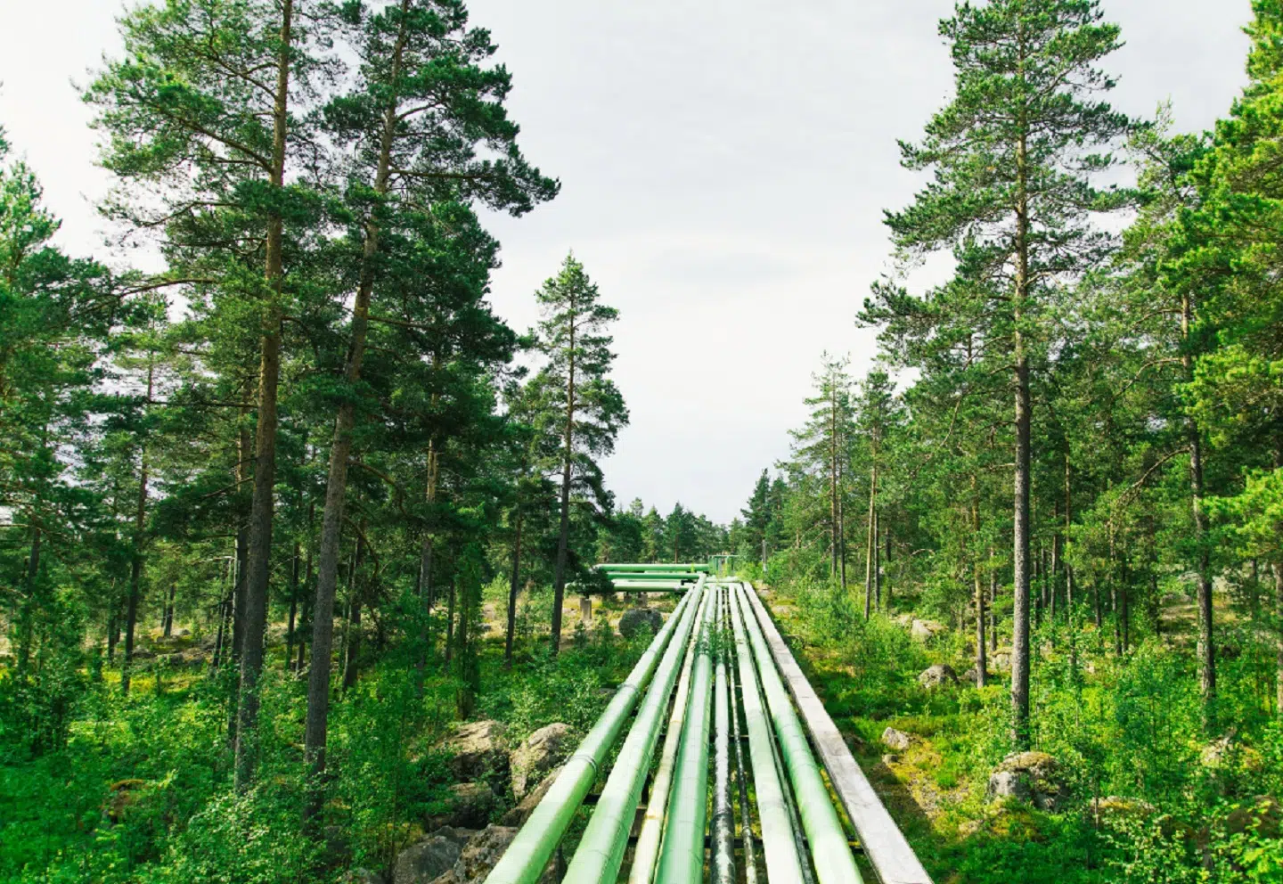 Neste&IMD - IMD Business School