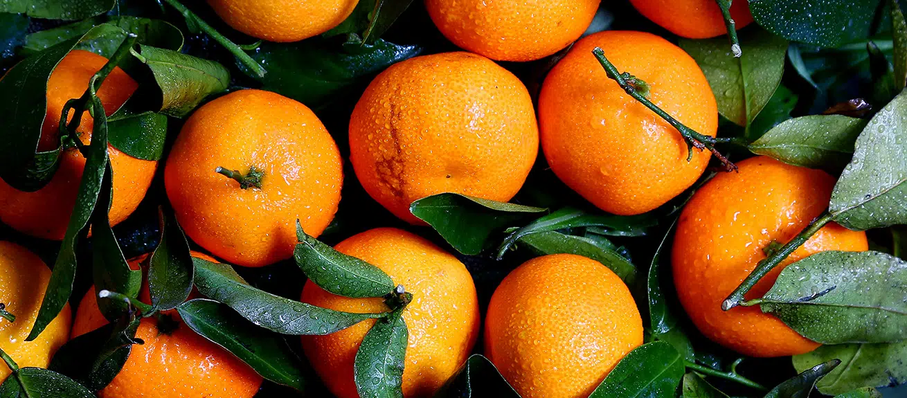 A look at Swiss supermarket Migros and how it handles waste - IMD Business School