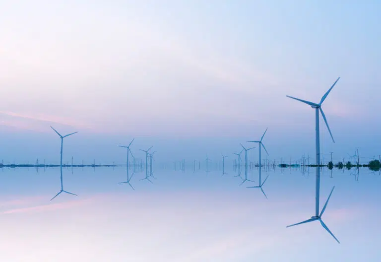 Sustainability and the art of doing less