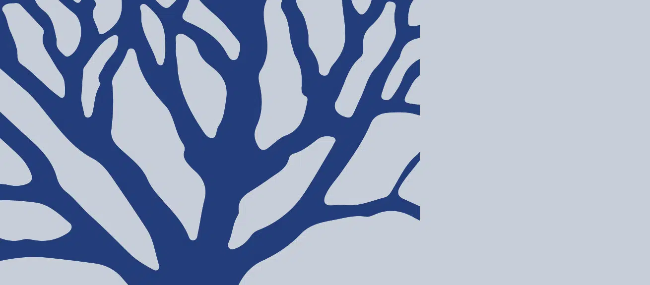 Pentland Group: A family of brands: Lessons from the winner of the 2017 IMD Global Family Business Award