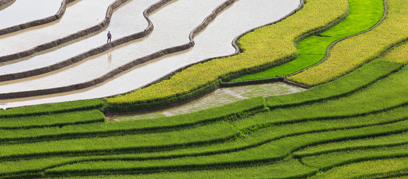 Agricultural Bank of China and promoting inclusive finance - IMD Business School