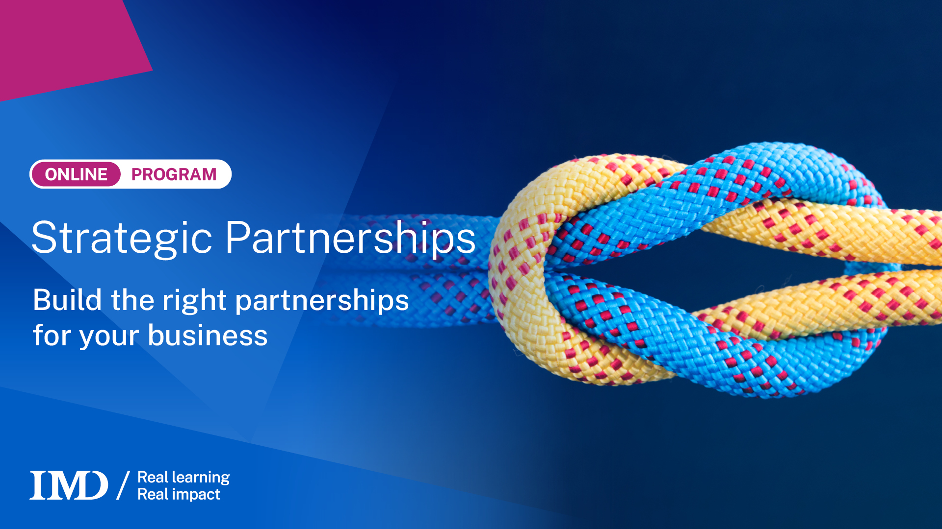 Partnerships