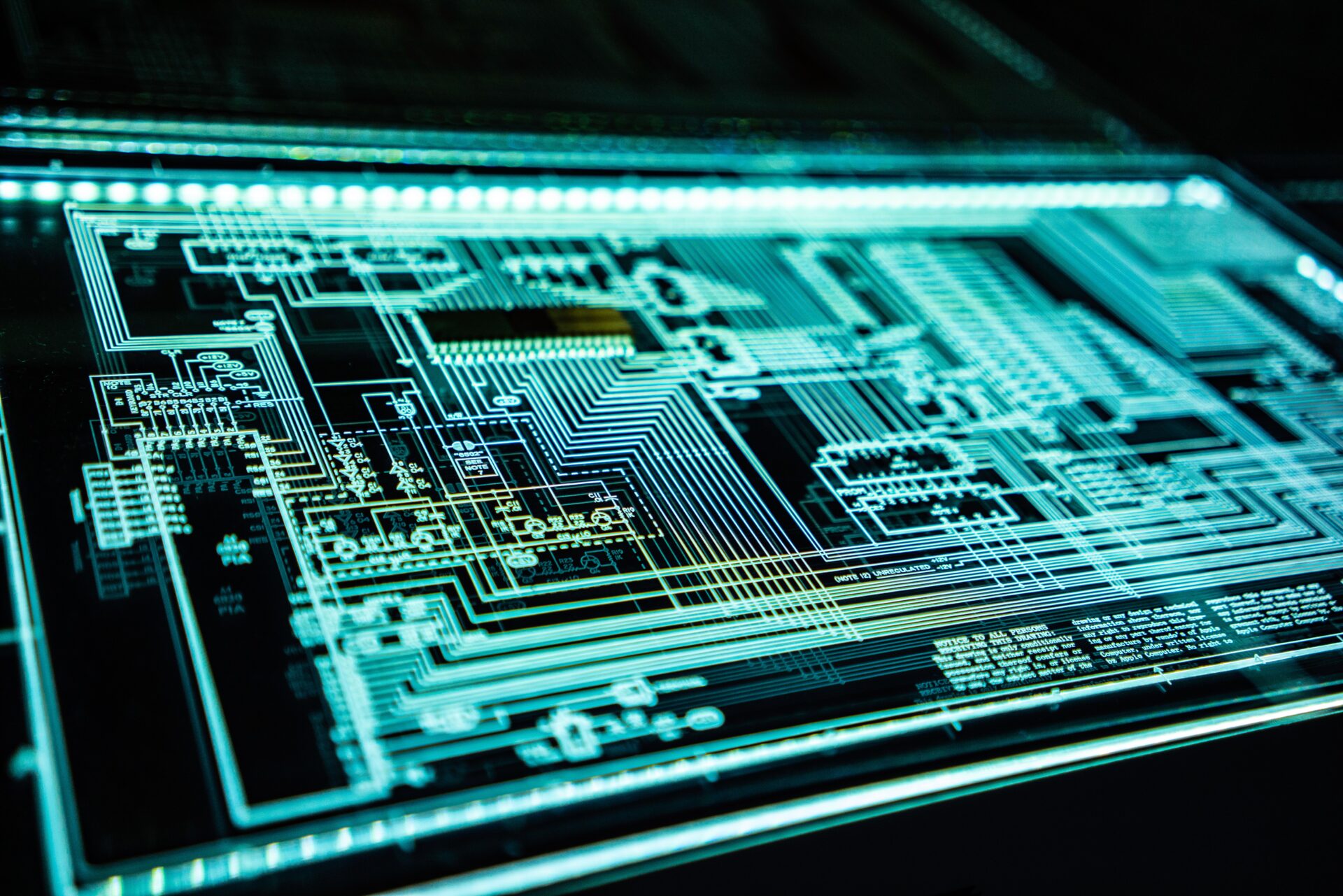 Five ways to plug the gaps in your digital security