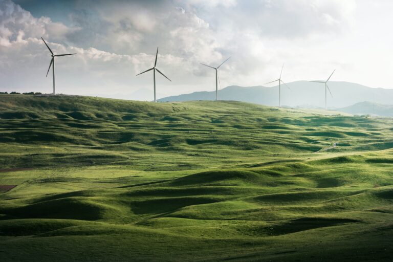 Let’s replace GDP: Introducing the Green Domestic Product