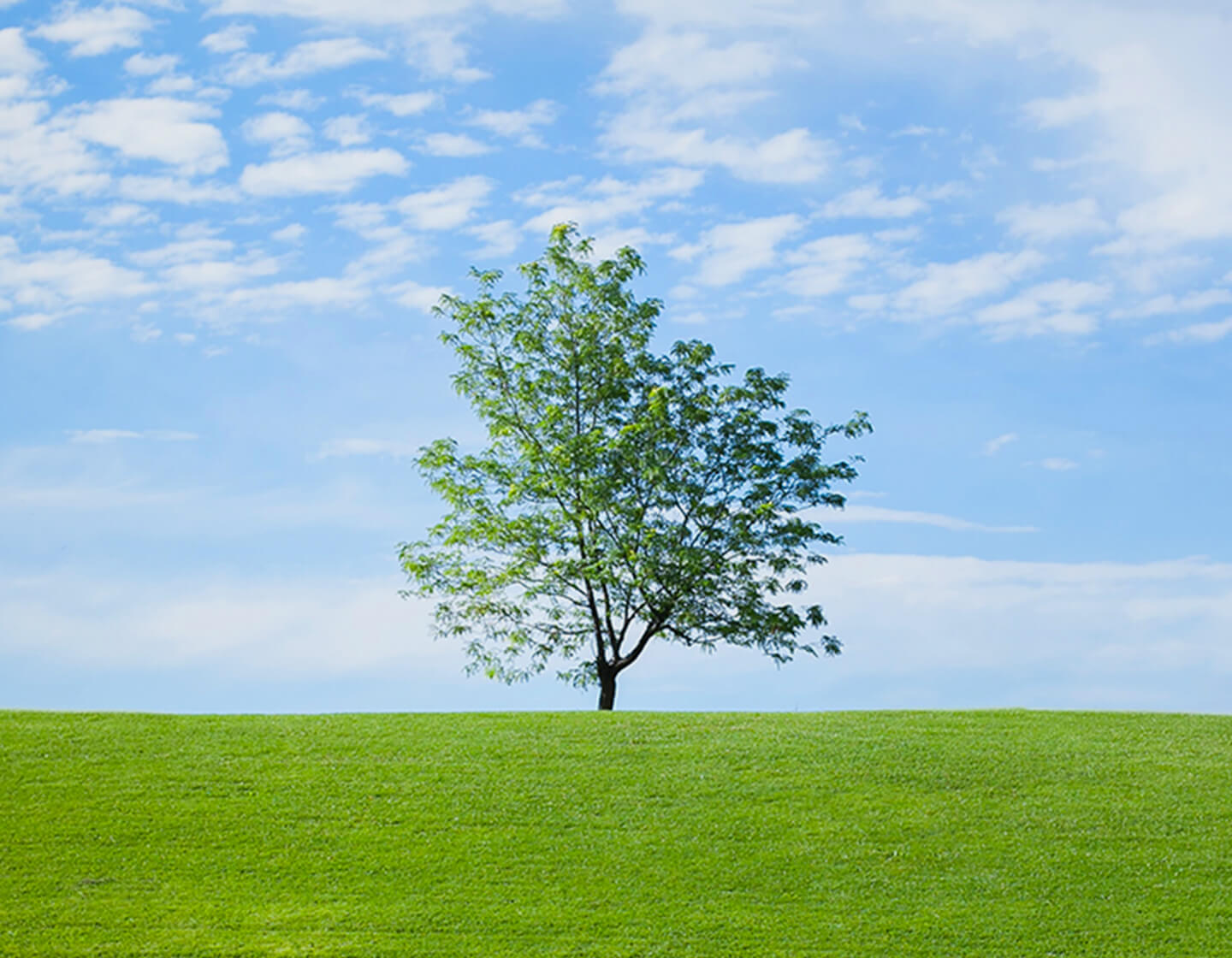 20221021-News-CallForNominationsForThe2021-720x560x2-SG-comp - IMD Business School