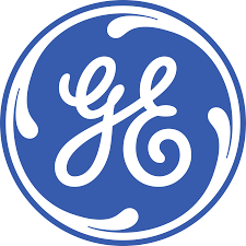 Performance development at GE: Shaping a fit-for-purpose performance management system (A)