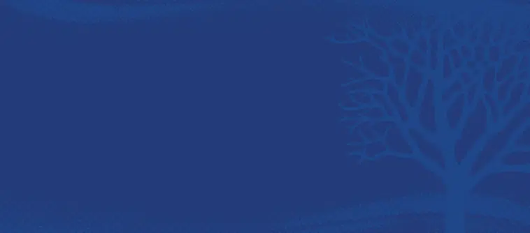 - IMD Business School
