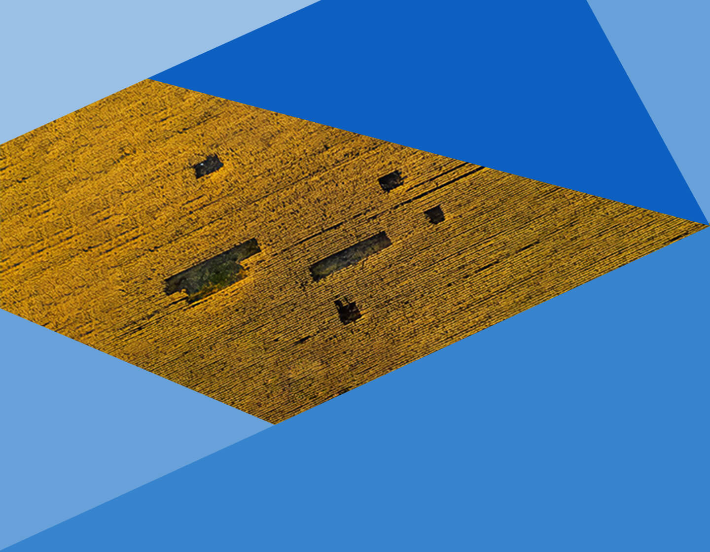 Re-building the global food economy - IMD Business School