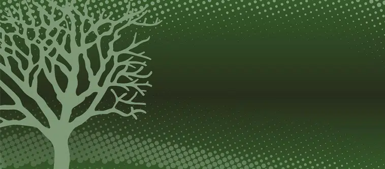 pictetsustainability_big-teaser758x334 - IMD Business School