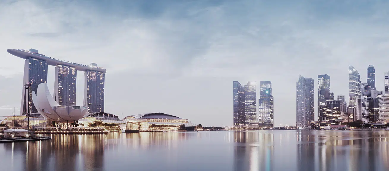 singapore-skyline1310x575 - IMD Business School
