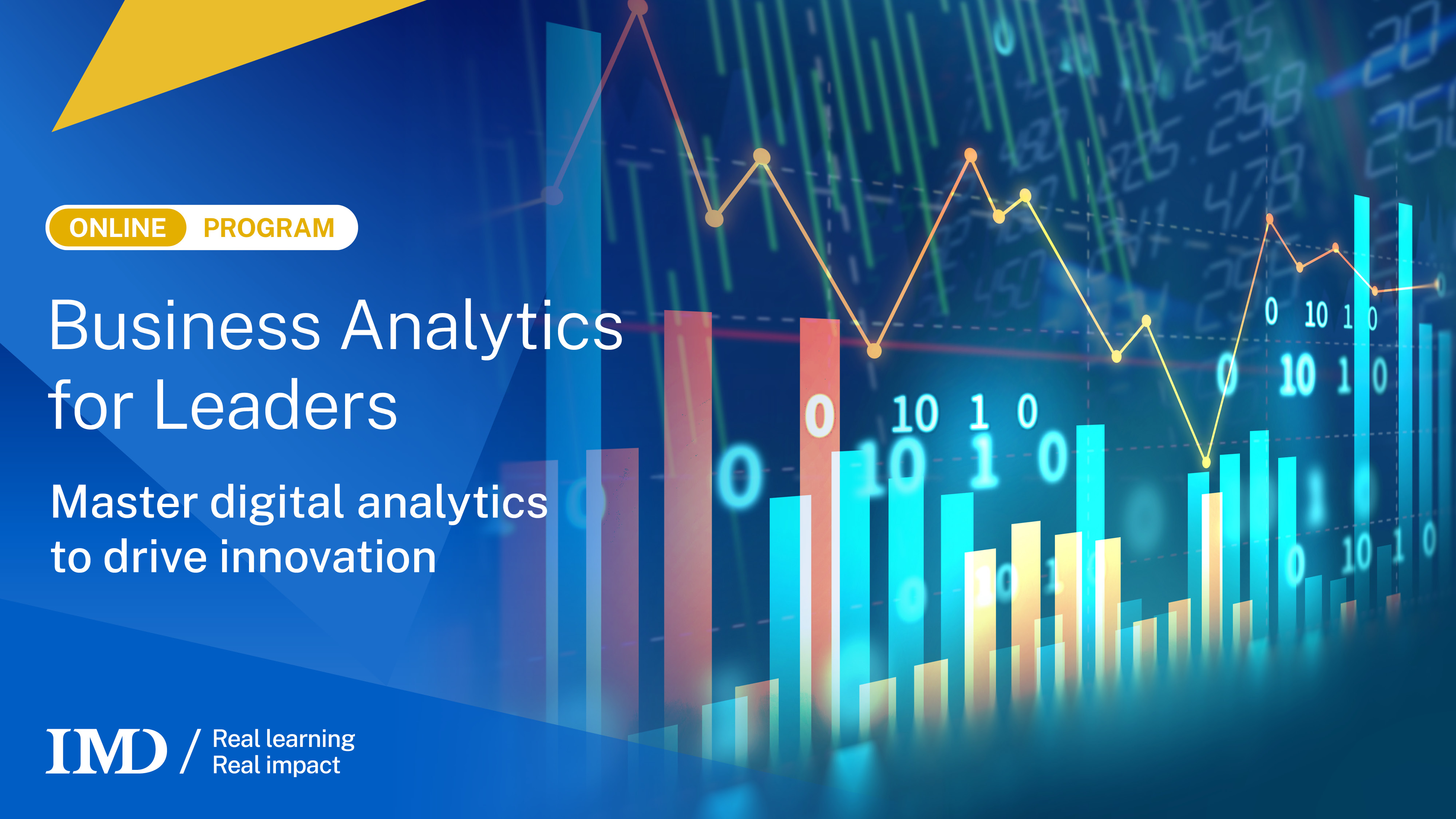 Business Analytics Online Course - Big Data for Leaders